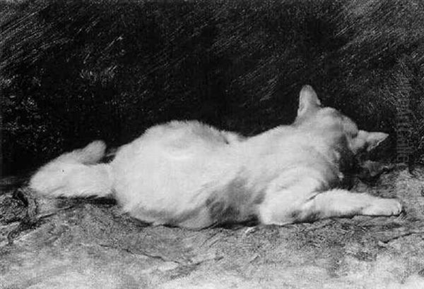 Liegende Katze, Auf Eine Maus Lauernd - view 1