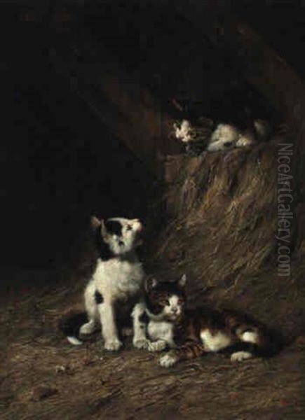 Drei Katzen Auf Dem Heuboden - view 1
