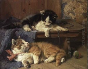 Zwei Kleine Katzen Zwei Kleine Katzen