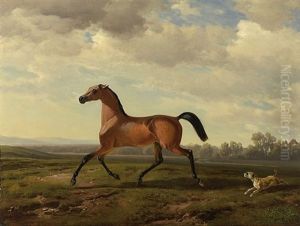The Hungry Kittens by Albrecht Adam