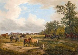 Pferde Auf Der Koppel, Im Hintergrund Ein Gestut