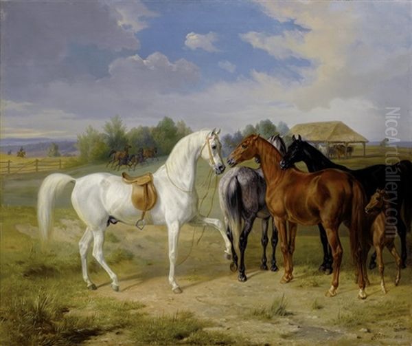 Pferde Auf Der Weide - view 1