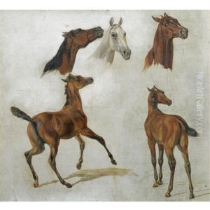 Pferdestudien (horse Studies) by Albrecht Adam