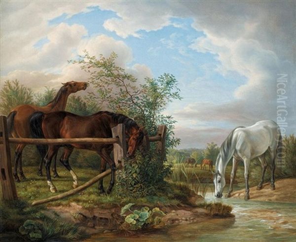 Vollbluter Auf Der Koppel (thoroughbreds In A Paddock) - view 1