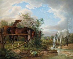 Vollbluter Auf Der Koppel (thoroughbreds In A Paddock)