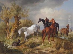 Vollbluter Auf Der Weide by Albrecht Adam