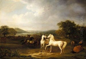 Zwei Hengste Und Andere Pferde In Einer Weiten Landschaft (two Arabian Stallions And Other Horses In An Extensive Landscape) by Albrecht Adam
