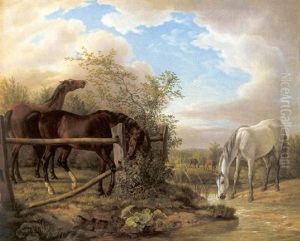 Zwei Braune In Der Koppel