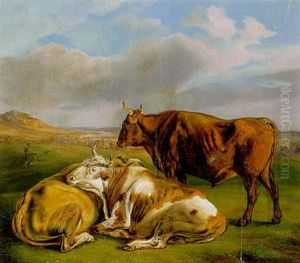 Drei Rinder Vor Weiter Landschaft Drei Rinder Vor Weiter Landschaft