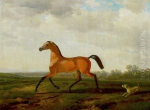 Trabendes Pferd Auf Der Weide Von Einem Hund Verfolgt by Albrecht Adam