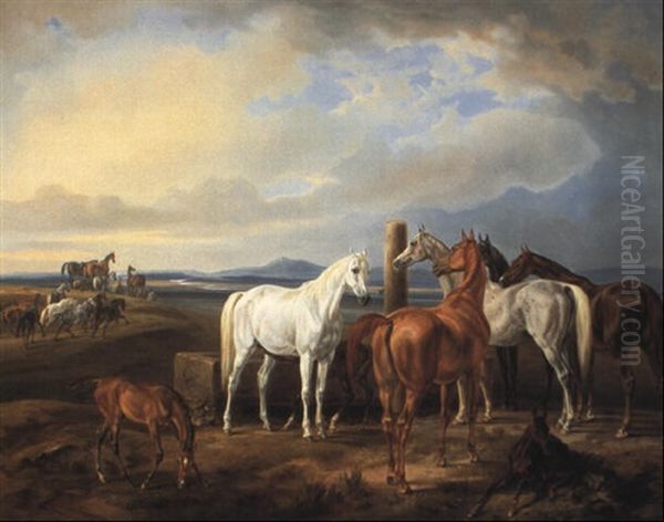 Pferde Auf Der Weide - view 1