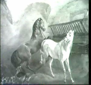 Schimmel Und Braunes Pferd Im Stall, Links Vorn Eine Hundemutter Mit Jungen Am Futternapf by Albrecht Adam