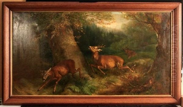Flucht Der Rehe Vor Dem Jager - view 1
