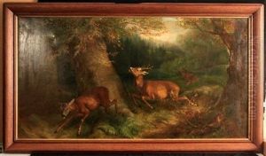 Flucht Der Rehe Vor Dem Jager