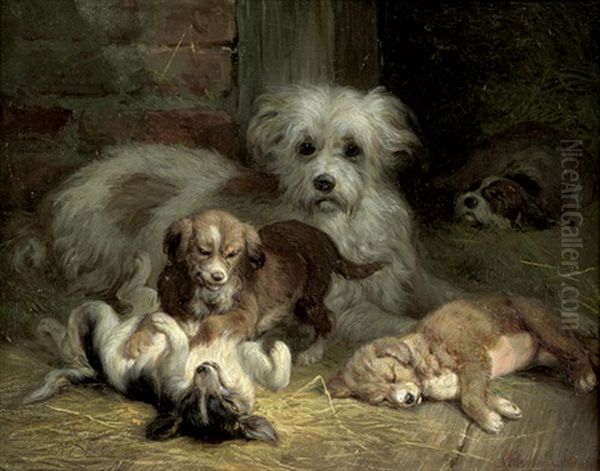 Hundefamilie Mit Spielenden Und Schlafenden Welpen - view 1