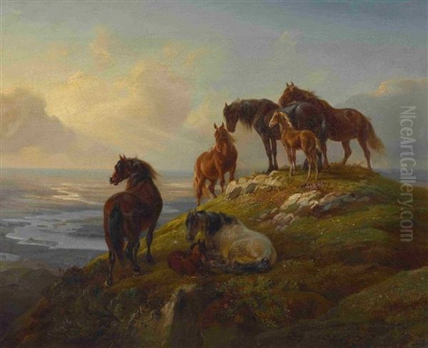Pferde Auf Der Hochalm - view 1