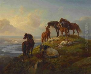 Pferde Auf Der Hochalm