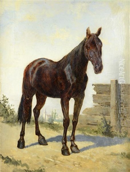 Bay Horse - view 1