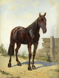 Bay Horse by Benno Adam