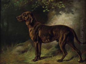 Jagdhund