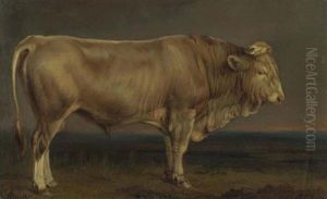 Stier Auf Der Weide by Benno Adam