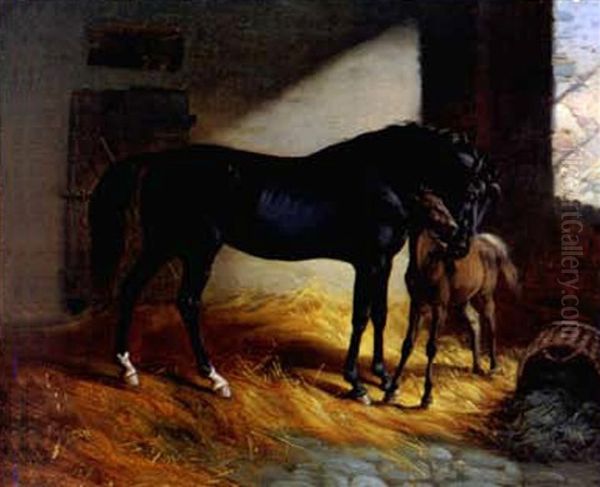 Pferd Und Fohlen In Der Stallung Balz - view 1