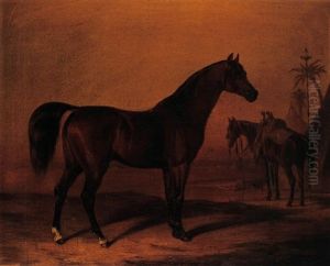 Arabische Pferde In Der Wuste by Benno Adam