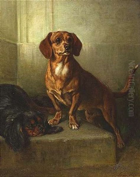 Ein Dachshund Und Ein King Charles Spaniel Auf Einem Steinpodest - view 1