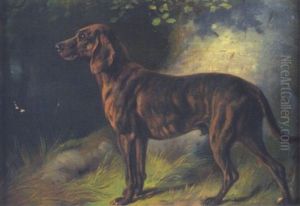 Jagdhund In Waldlandschaft Jagdhund In Waldlandschaft