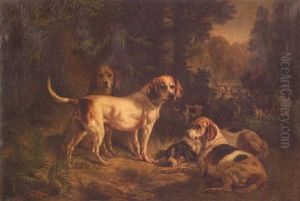 Foxhounds After The Hunt Foxhounds After The Hunt