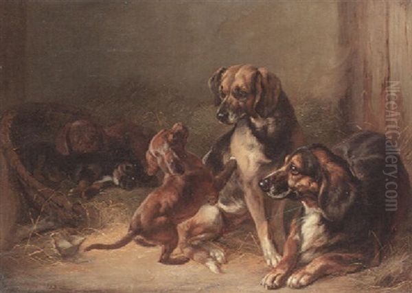 Dogs And Whelps - view 1