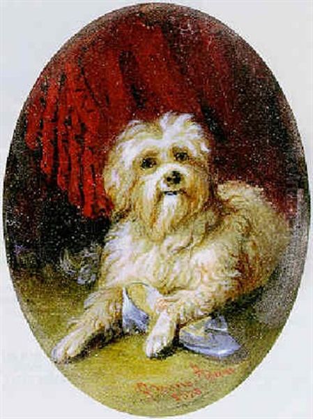 Kleiner Hund Mit Damenschuh - view 1