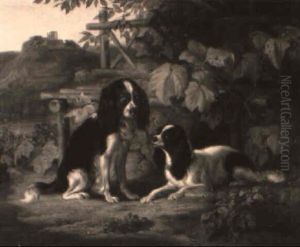 Zwei Hunde In Einer Weinlaube