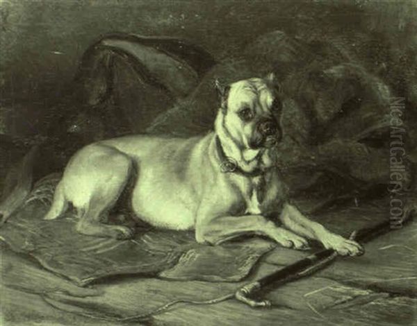 Hundeportrait - view 1