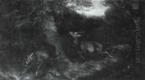 Springendes Reh Und Rehbock Auf Einer Waldlichtung