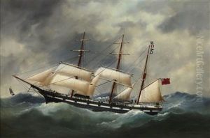 The S.s. Argosy In Heavy Seas by Edouard Adam