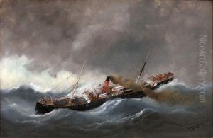 Le Bateau A Vapeur Carlisle Dans La Tempete
