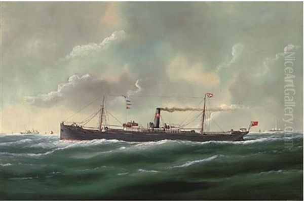 The General Cargo Steamer Agenoria At Sea - view 1