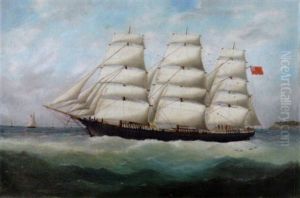 The British Clipper "lizzie Burrill" The British Clipper "lizzie Burrill"