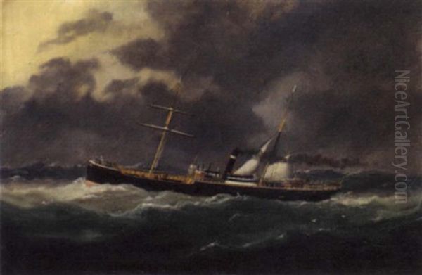 The Steamer "savernake" In Choppy Seas - view 1