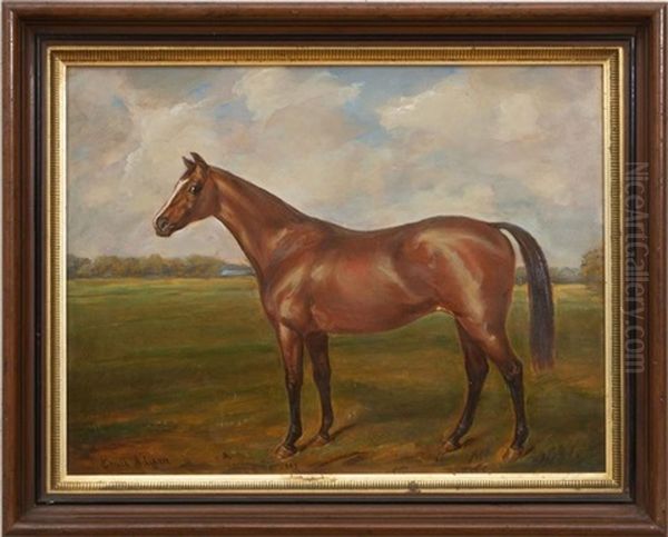 Portrait Of A Horse - view 1