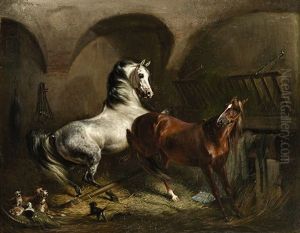 Vor Hundewelpen Scheuende Pferde Im Stall Vor Hundewelpen Scheuende Pferde Im Stall