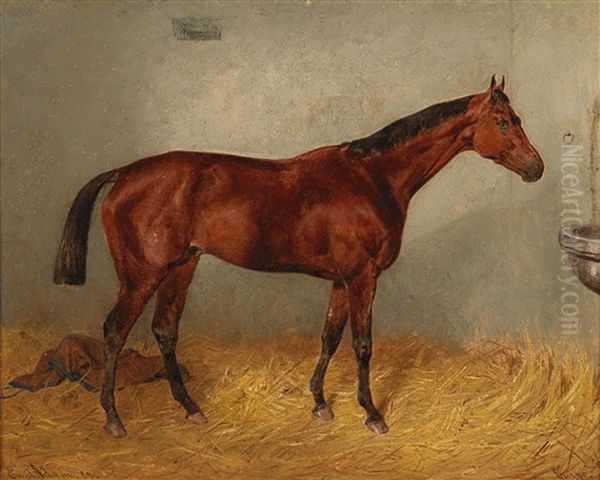 Buzgo V. Kisber Ocsese Baber, Winner Of The Austrian Derby Xx - view 1
