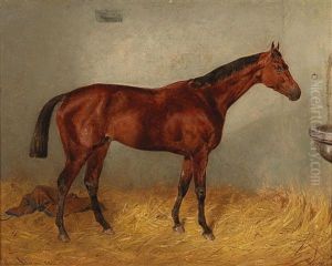 Buzgo V. Kisber Ocsese Baber, Winner Of The Austrian Derby Xx Buzgo V. Kisber Ocsese Baber, Winner Of The Austrian Derby Xx