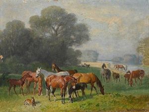 Gestutspferde Auf Der Weide by Emil Adam