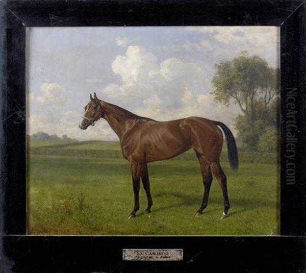 "la Camargo" - view 1