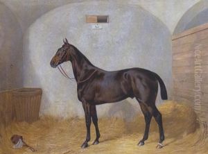 Hengst "bert" Im Stall by Emil Adam