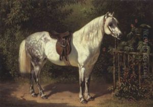 Reiterpony Des Friedrich Freiherrn Von Moreau