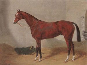 The Racehorse, "missal," In A Stable