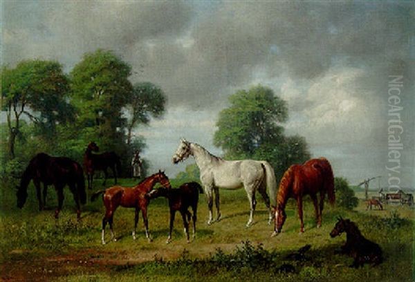 Mares And Foals In A Landscape - view 1